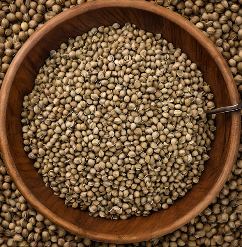 coriander seeds